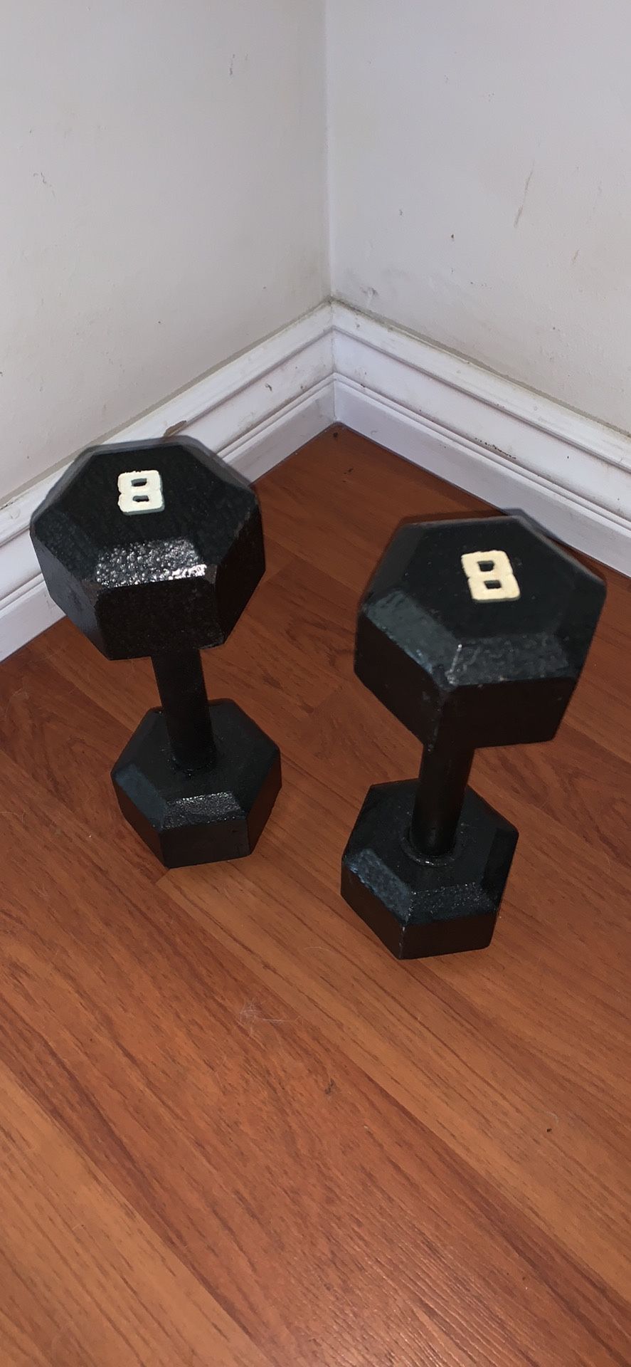 8lb cast iron dumbbells