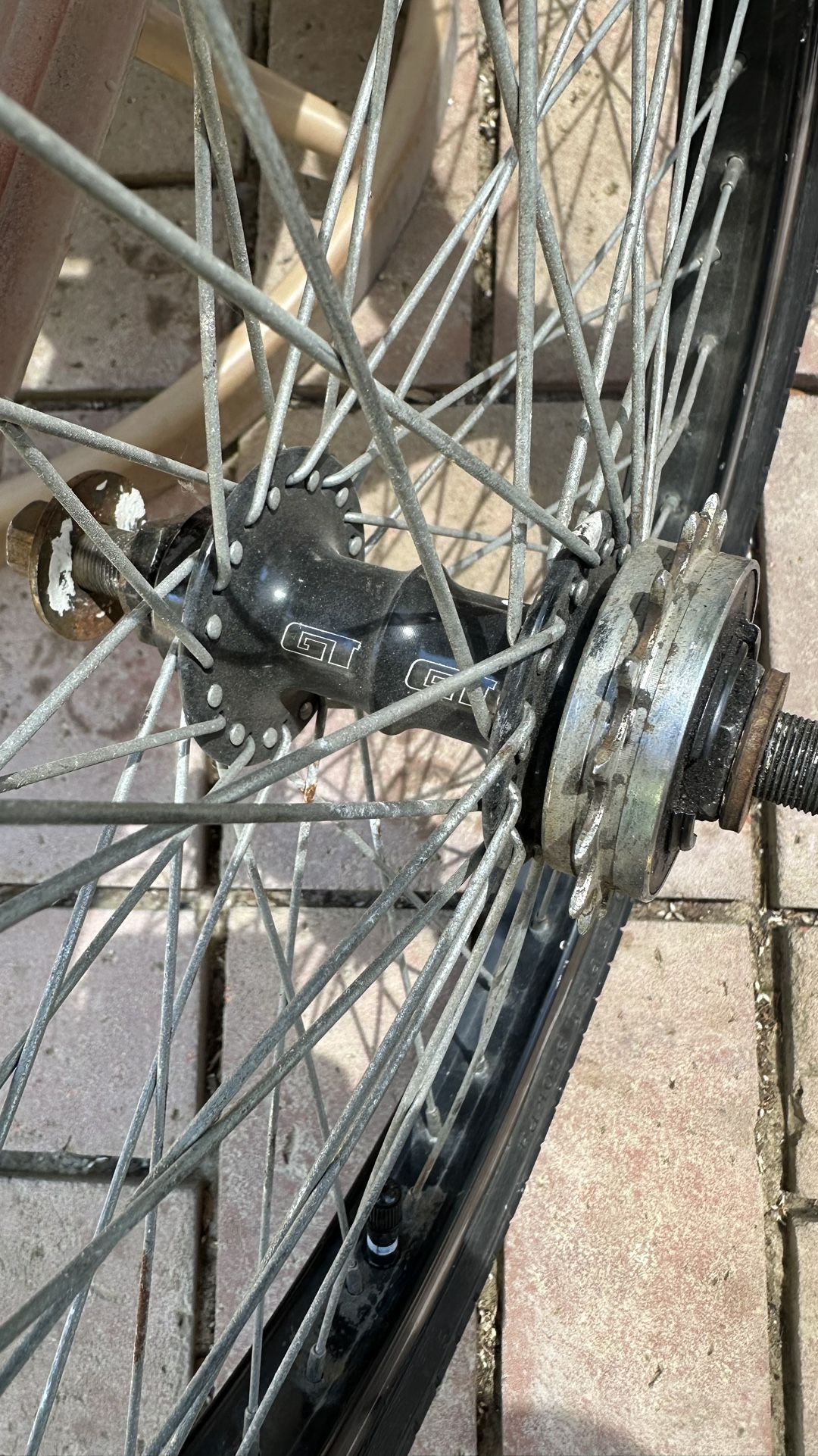 Gt Mohawk Hubs On Zak Rims