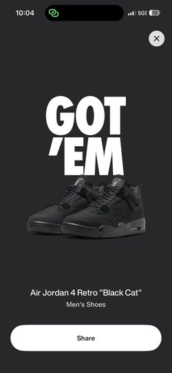 Black Cat 4s