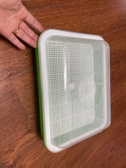 Seed Sprouter Tray