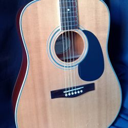 Fender Starcaster Guitar