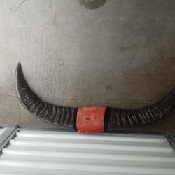 Buffalo Horns 