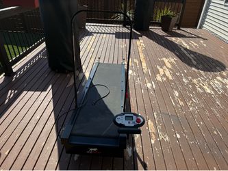 Dog Treadmill