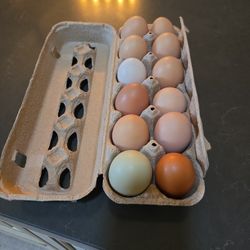 Farm Fresh Eggs
