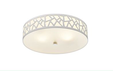 VICNIE 2-Light Flush Mount Ceiling Light, 12 inch