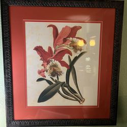 Custom Pair Of Hand colored Prints