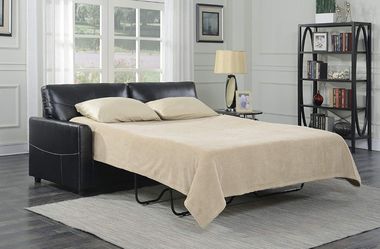 Leather Queen sofa bed