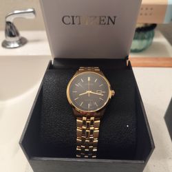 Citizen Men's Eco-Drive 