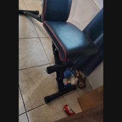 Weight Bench 