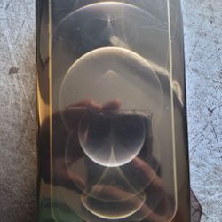 Iphone 12 Pro Max 256 GB Gold