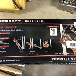 Pull-Up Straps