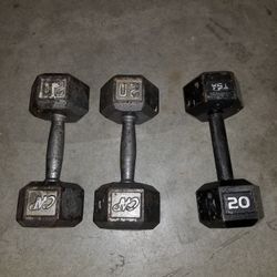 20lbs Hex Dumbells 