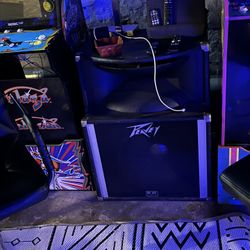 PV 15inch Speakers With with horns