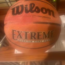 Extreme Basketball Wilson