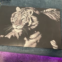 Tiger Painting Measures 36/24  