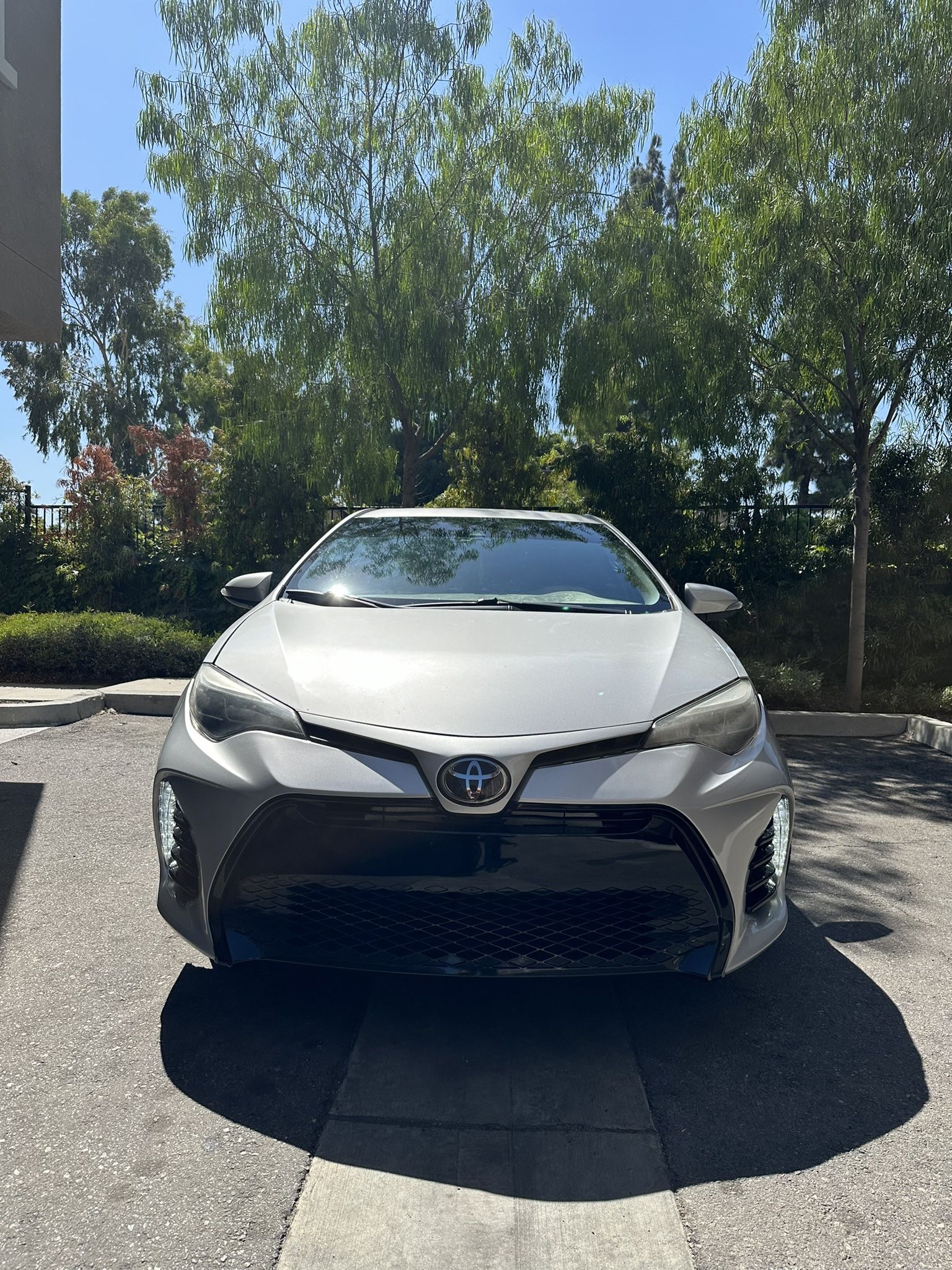 Toyota Corolla LOW MILES