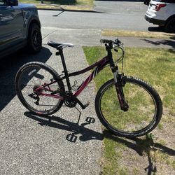 Specialized Bike 