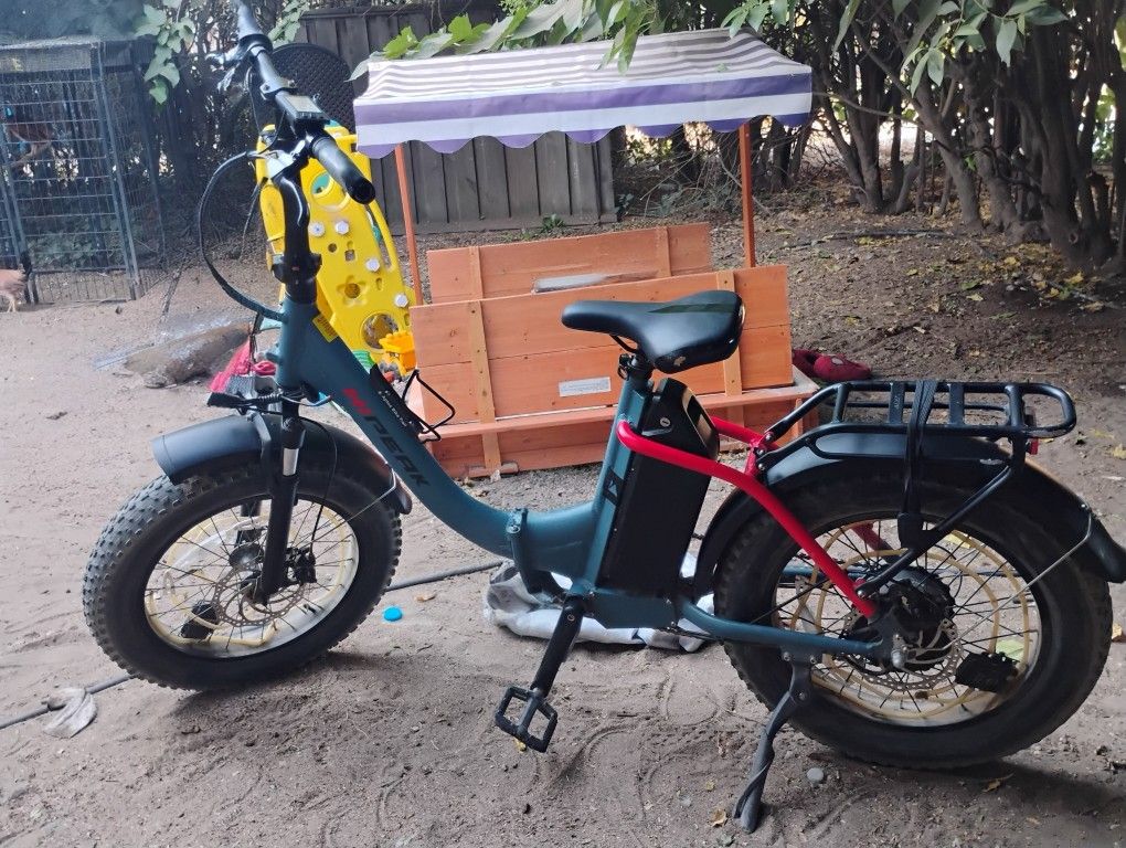 Electric Bike