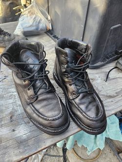 Red wing/Irish setter