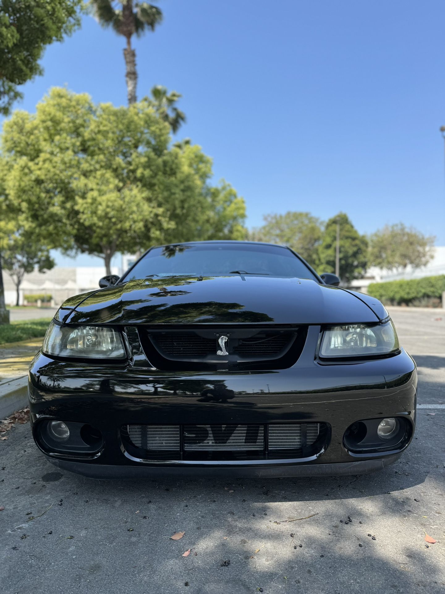 2003 Ford Mustang