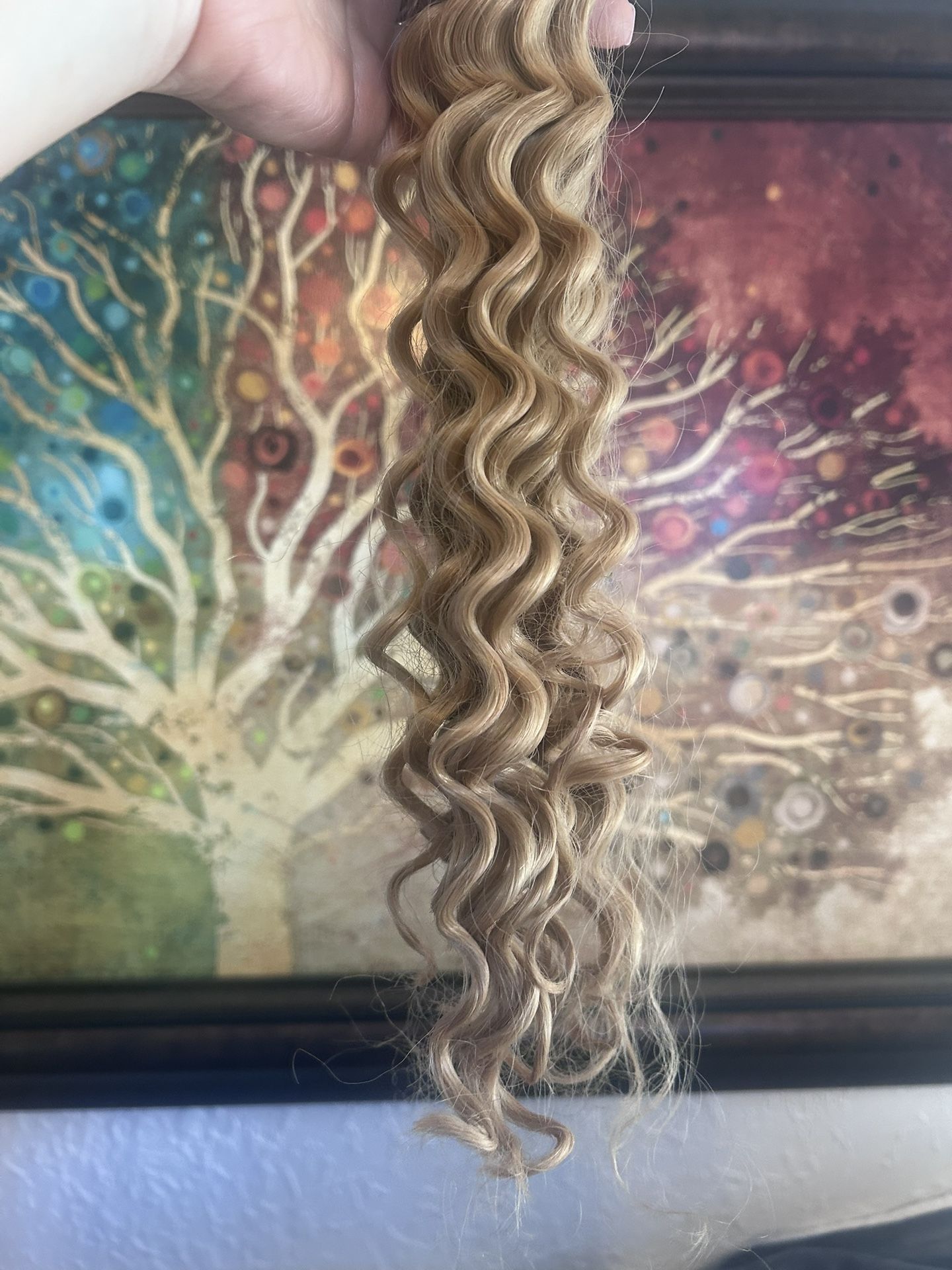 Hair Extension Hair Only