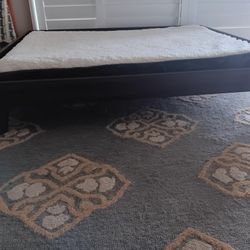Large Dog Bed