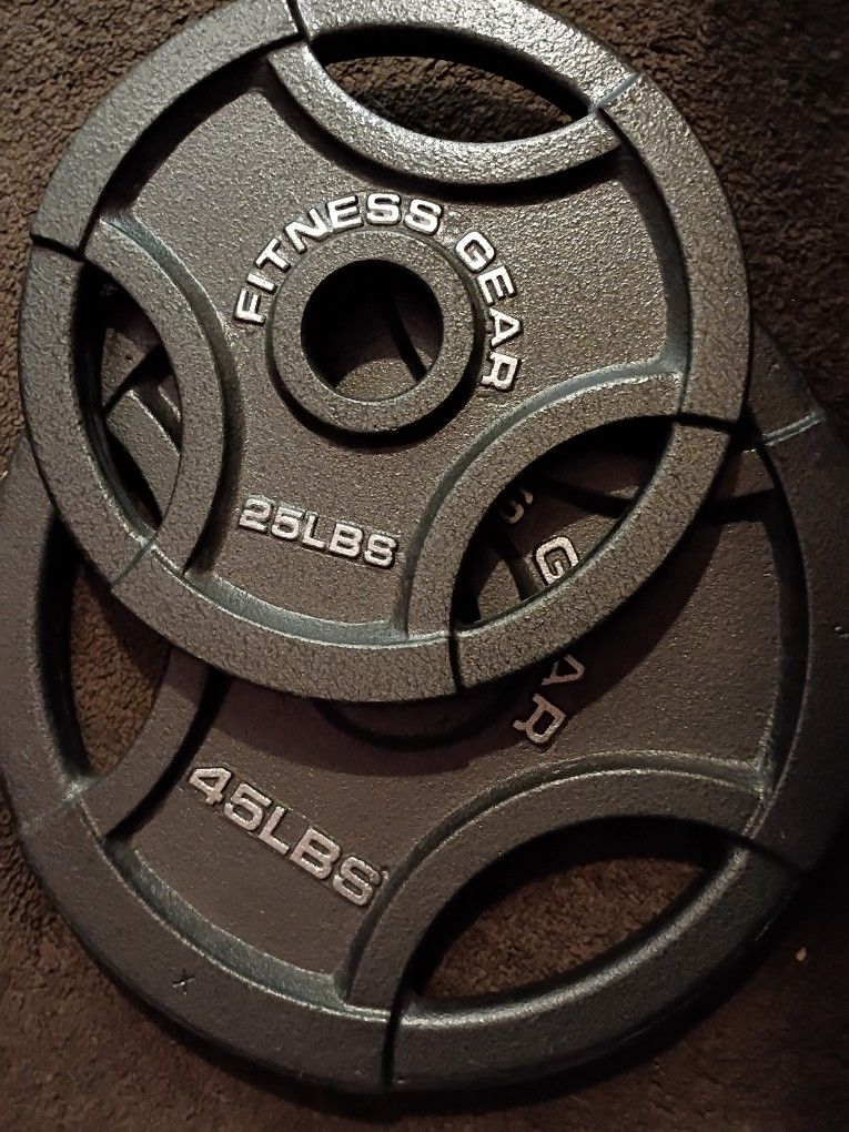 Fitness Gear Weights 45lbs And 25lbs