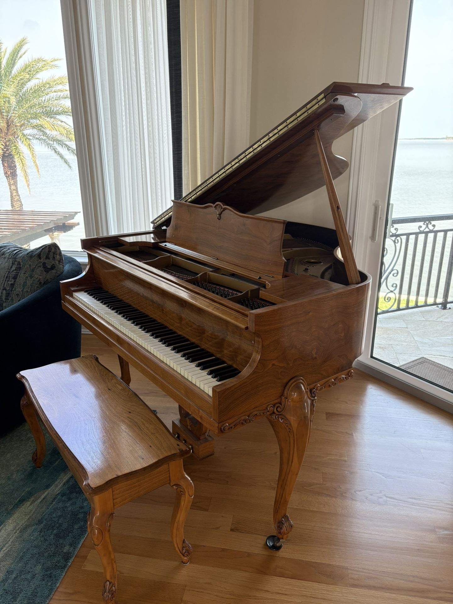 Baby Grand Piano