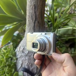 Nikon Digital Camera 
