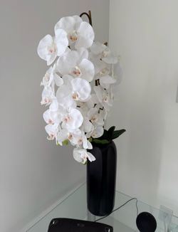 New Potted White Orchid Home Decoration, 37 Inches, Perfect Condition. Was $200 From Z Gallerie