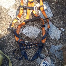 Warthog 5 Point Harness