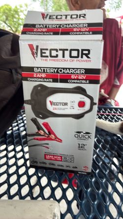 2amp 6v 12v battery charger