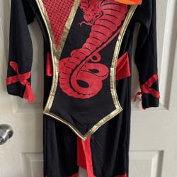 Ninja Costume