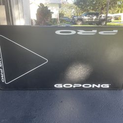 Beer Pong Foldable table Comes With the Balls 