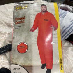 Spirit Escaped Convict Halloween Costume Plus Size