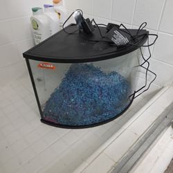 FREE - Fish Tank & Water Filter