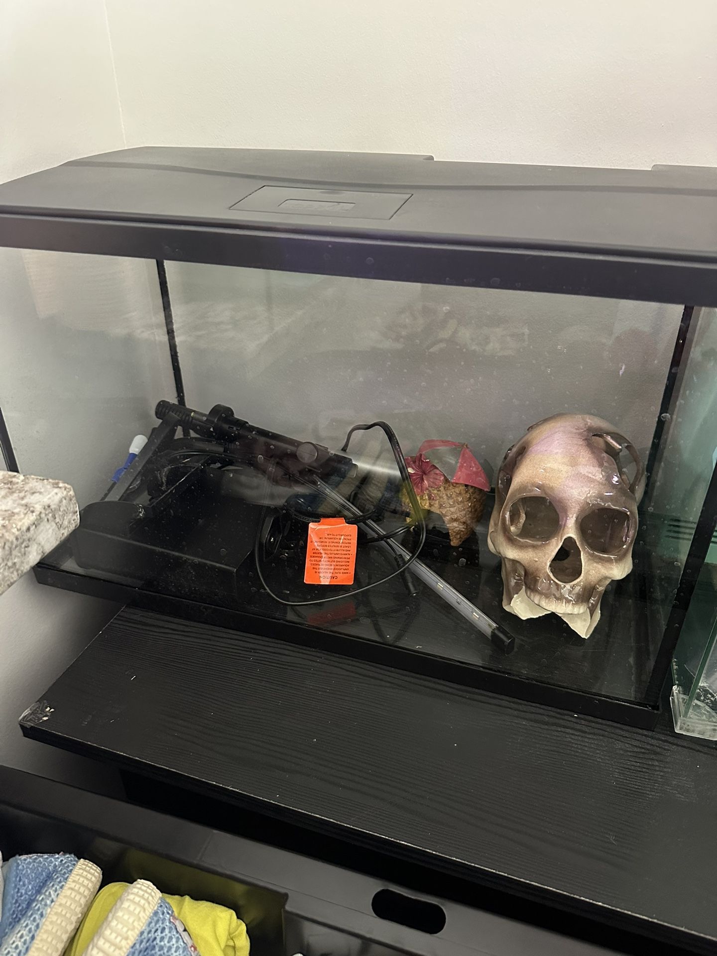 10 Gallon Tank 