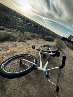 Street co 29er