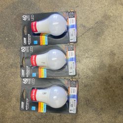 Light Bulbs