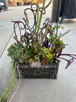 Hanging Or Tabletop Metal Plant Holder