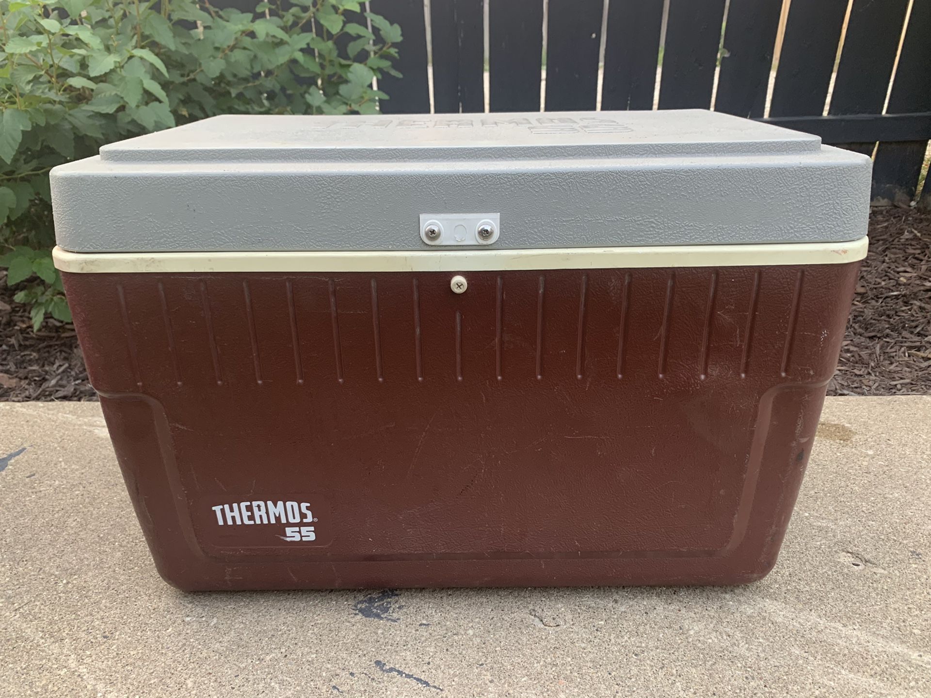 Cooler thermos 55