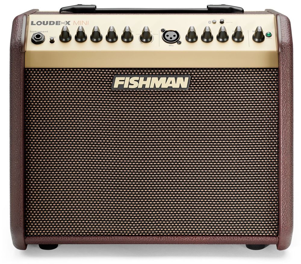 Acoustic Guitar Amplifier