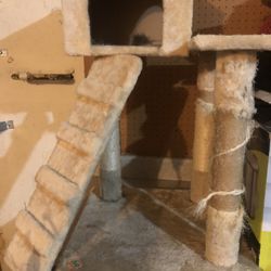 Cat Tree