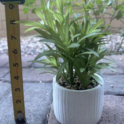 Artificial Plants $20 For All