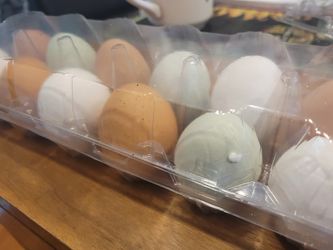 Fresh Eggs
