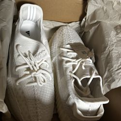 Yeezy 350 V2  11.5 Men