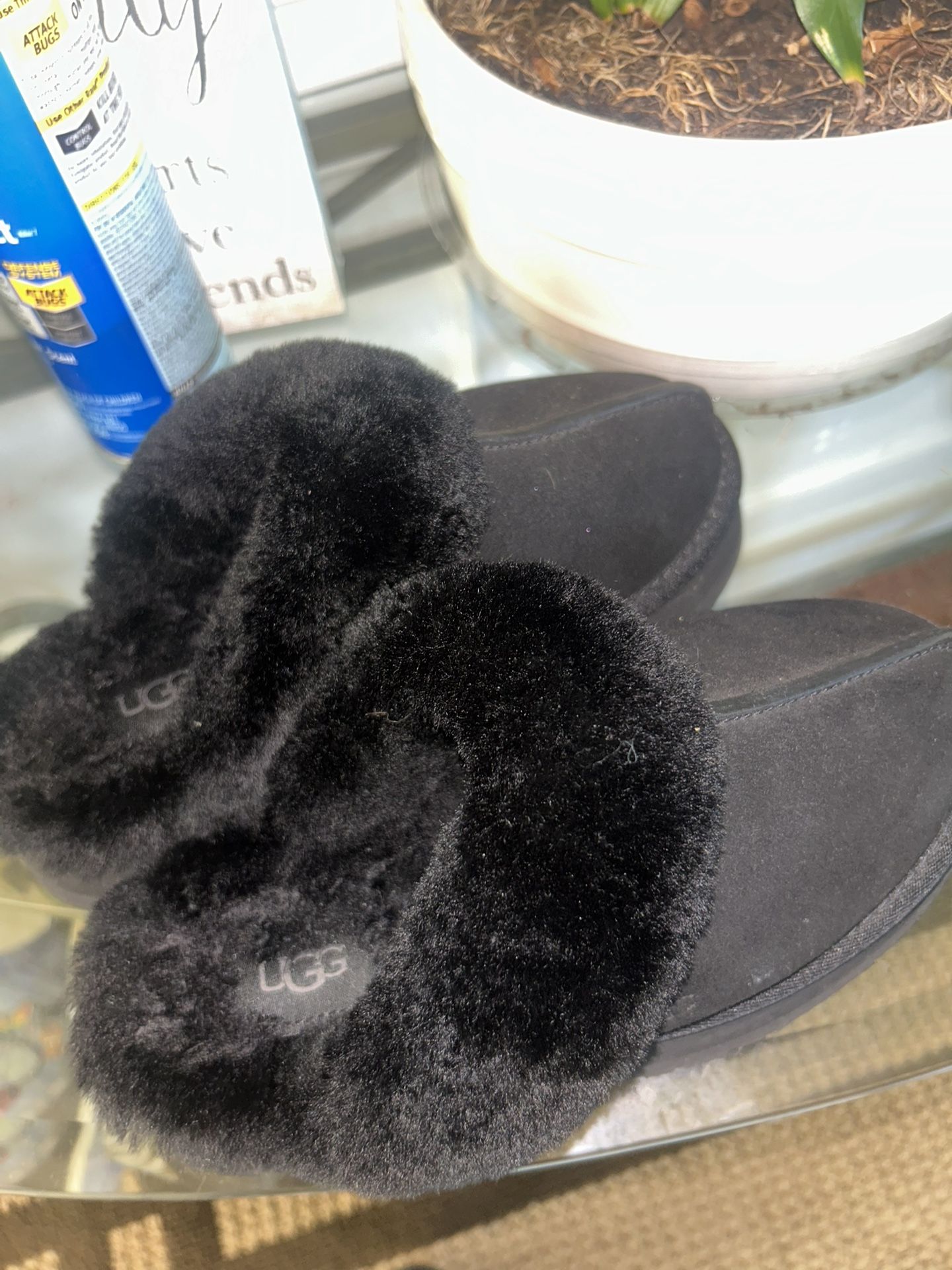 Disquette Uggs