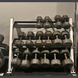 🔥 Commercial Dumbbells + Nautilus Rack 🔥