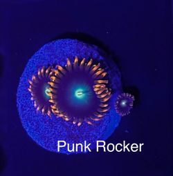 Fake Aquarium Decoration