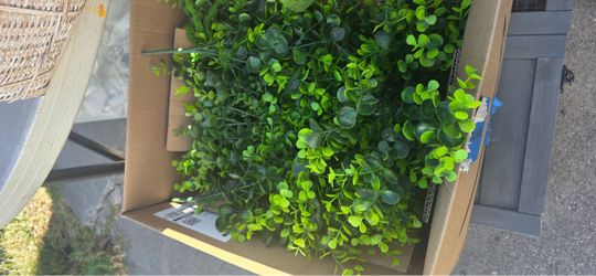 Greenery